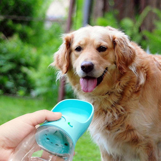 Portable Dog Water Bottle – Hydration on Every Adventure