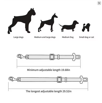 Dog Car Safety Belt – Protect Every Journey